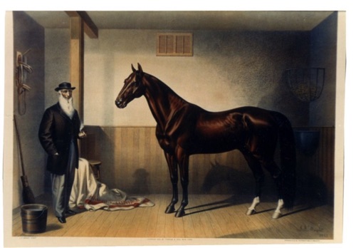 Rysdyk's Hambletonian, Currier & Ives print (courtesy: Harness Racing Museum and Hall of Fame, Goshen, New York).1865  chs-006588